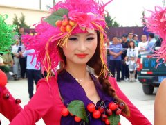 2011BHҹ_ĻʽģСĈDƬ