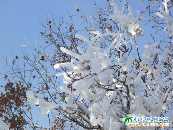 大連勞動公園滑雪場