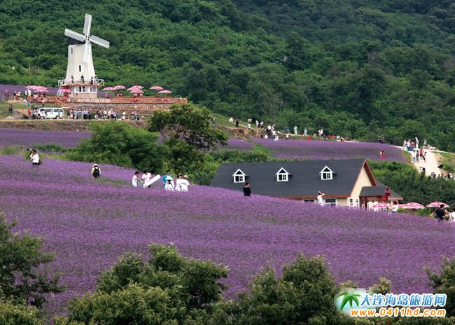 第二批省級鄉村旅游重點村鎮公布