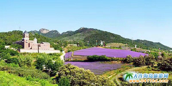 大連戶外露營地攻略:金普露營地